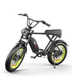 C91™ – Dual Drive Power Bike 20