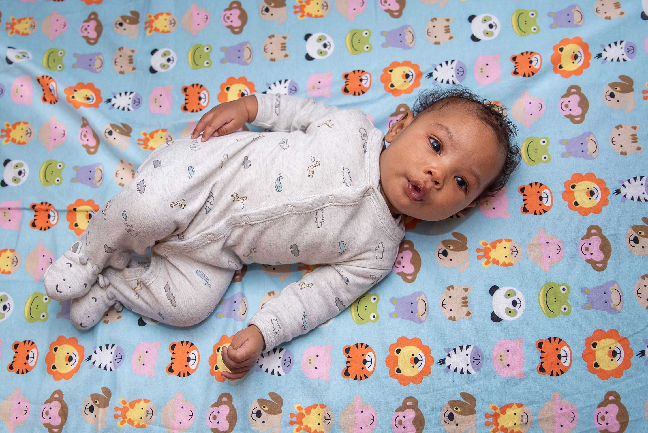 SheetWorld Fitted Bassinet Sheet Fits Nuna Mixx - 100% Cotton Flannel