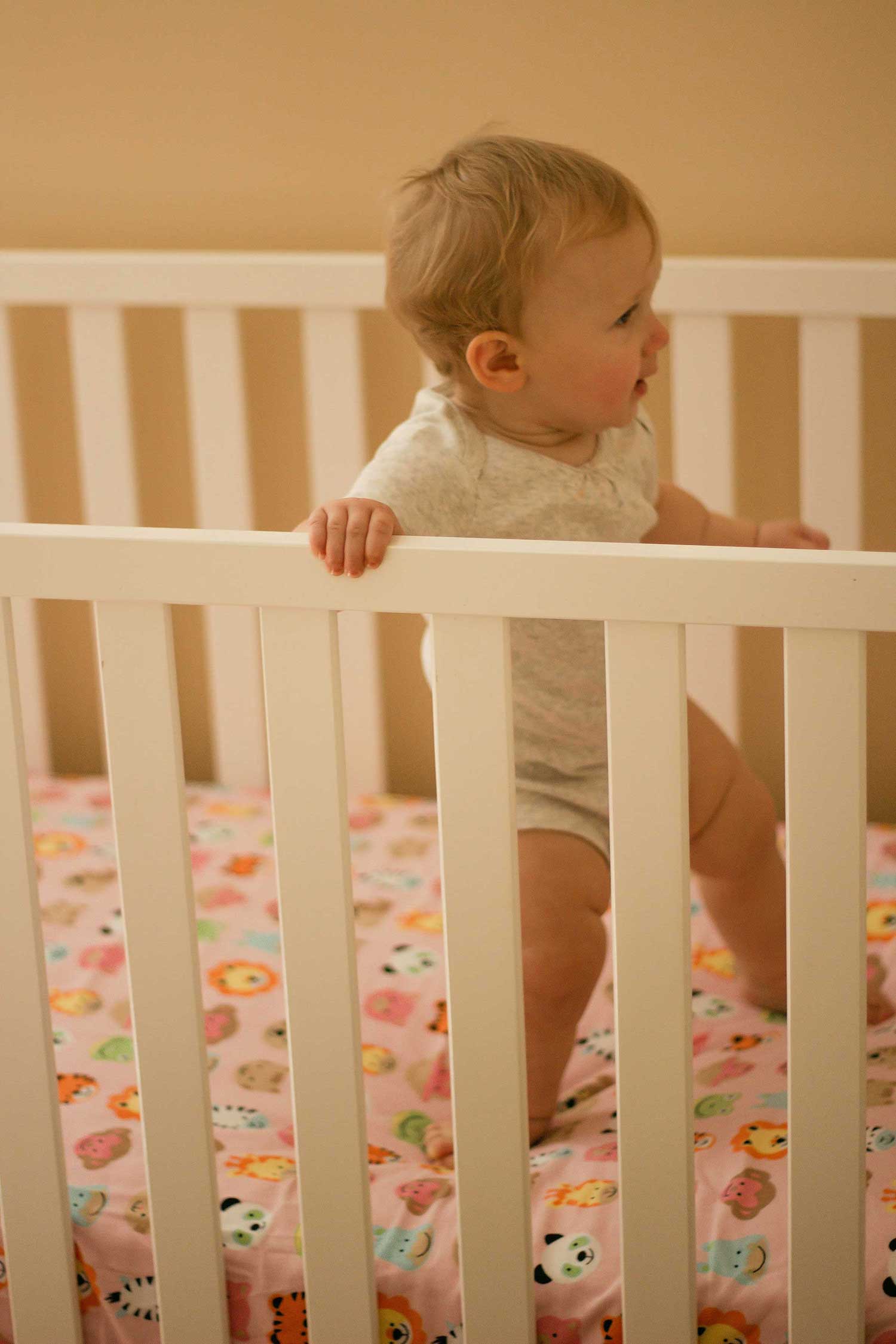 SheetWorld Fitted Bassinet Sheet Fits Nuna Mixx - 100% Cotton Flannel