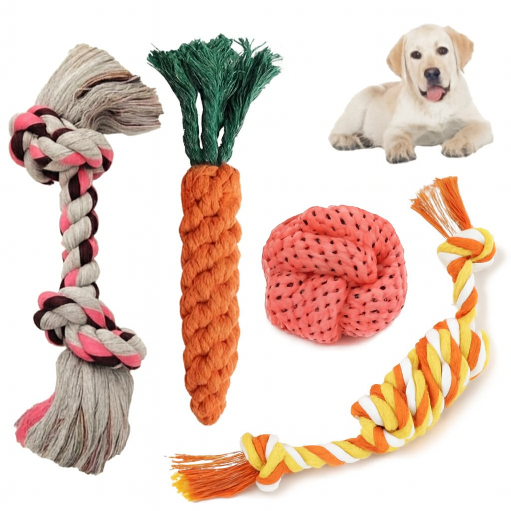 Dog Rope Toy Assortment with Puppy