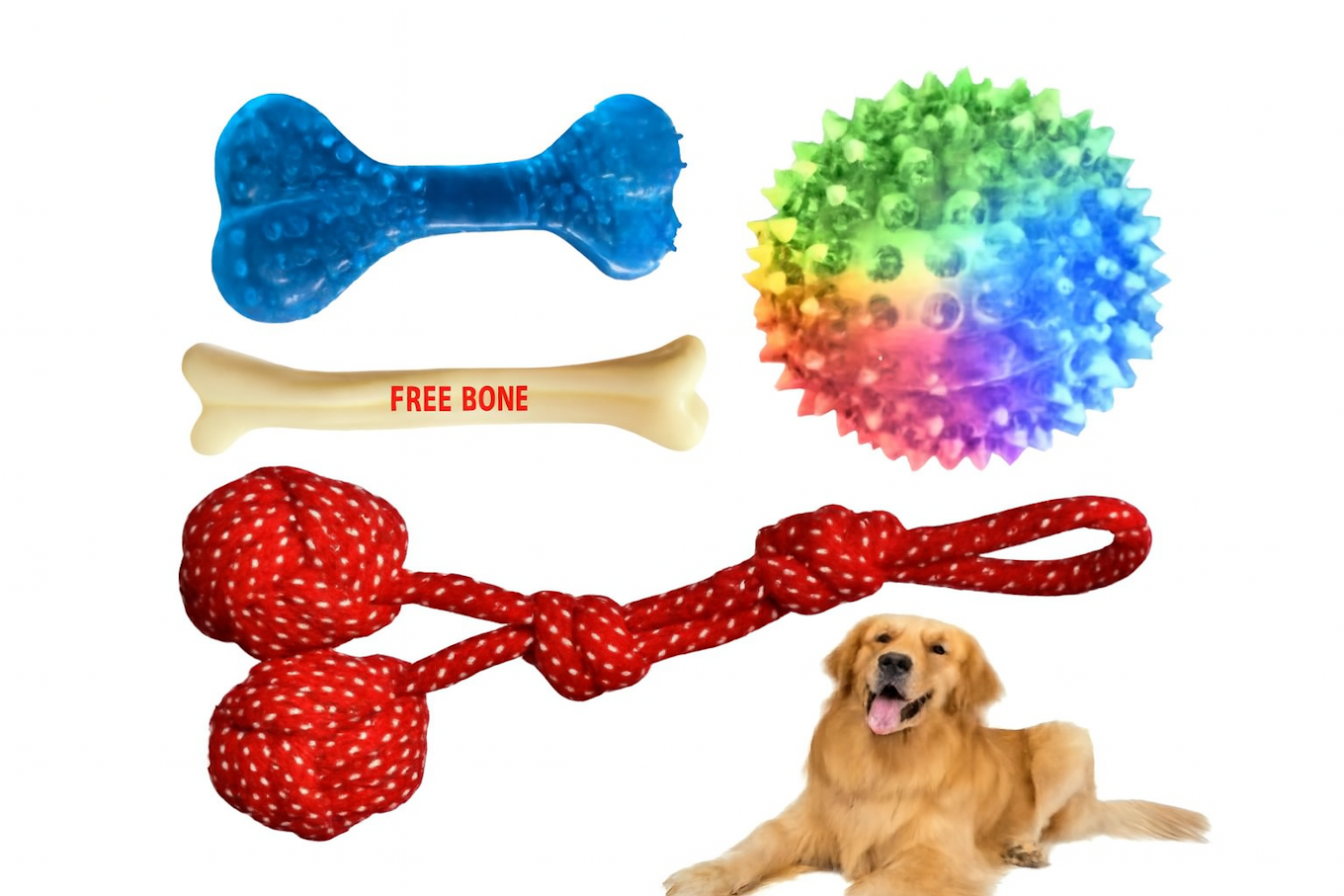 Dog Toy Variety Pack with Golden