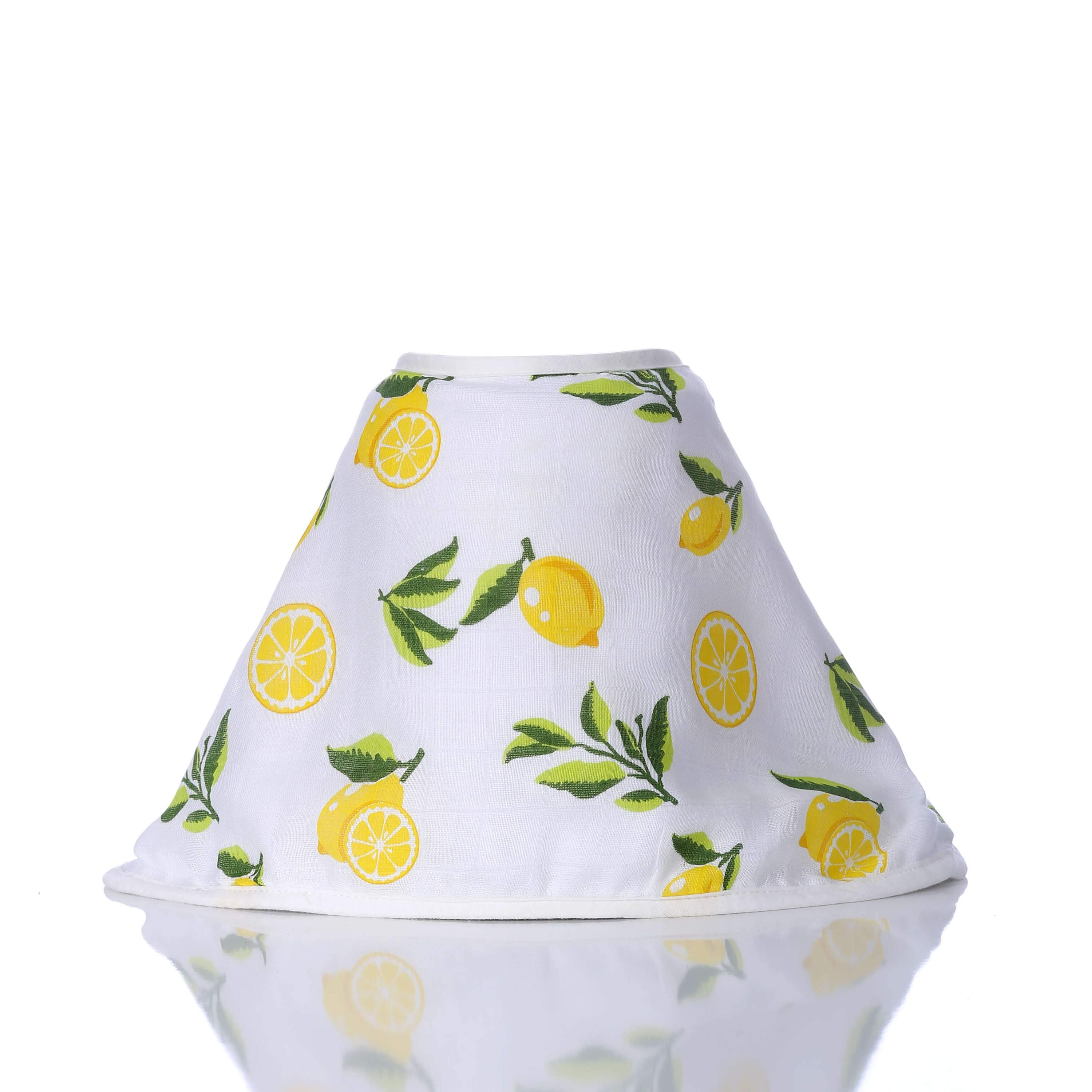 Muslin 3-in-1 Burp Cloths Bibs Pacifier Ties, Set of 2